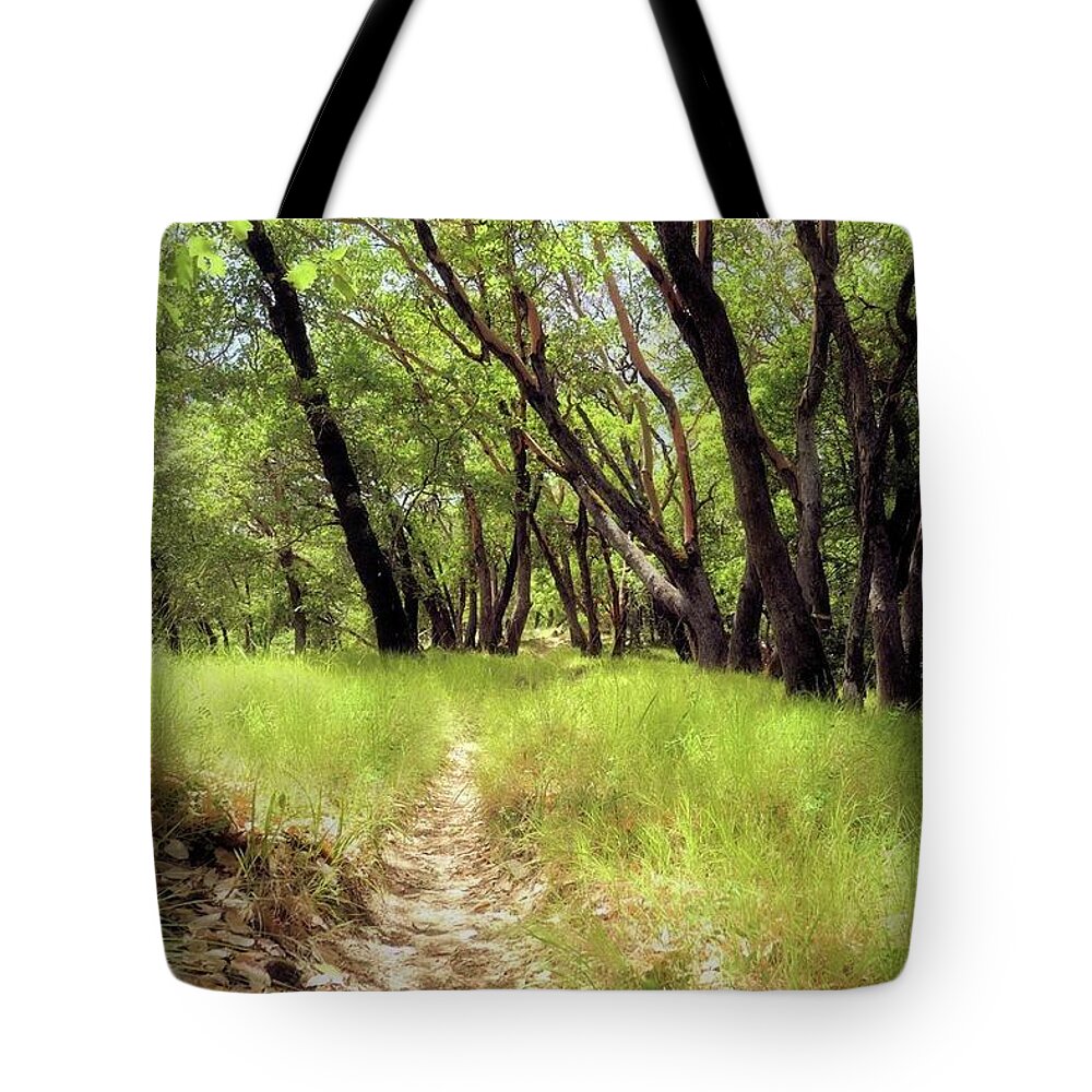Madrone Forest Tote Bag featuring the photograph Madrone Trail by John Parulis