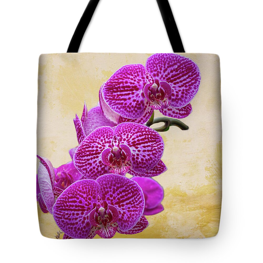 Magenta Tote Bag featuring the photograph Magenta Moth Orchids by Cate Franklyn