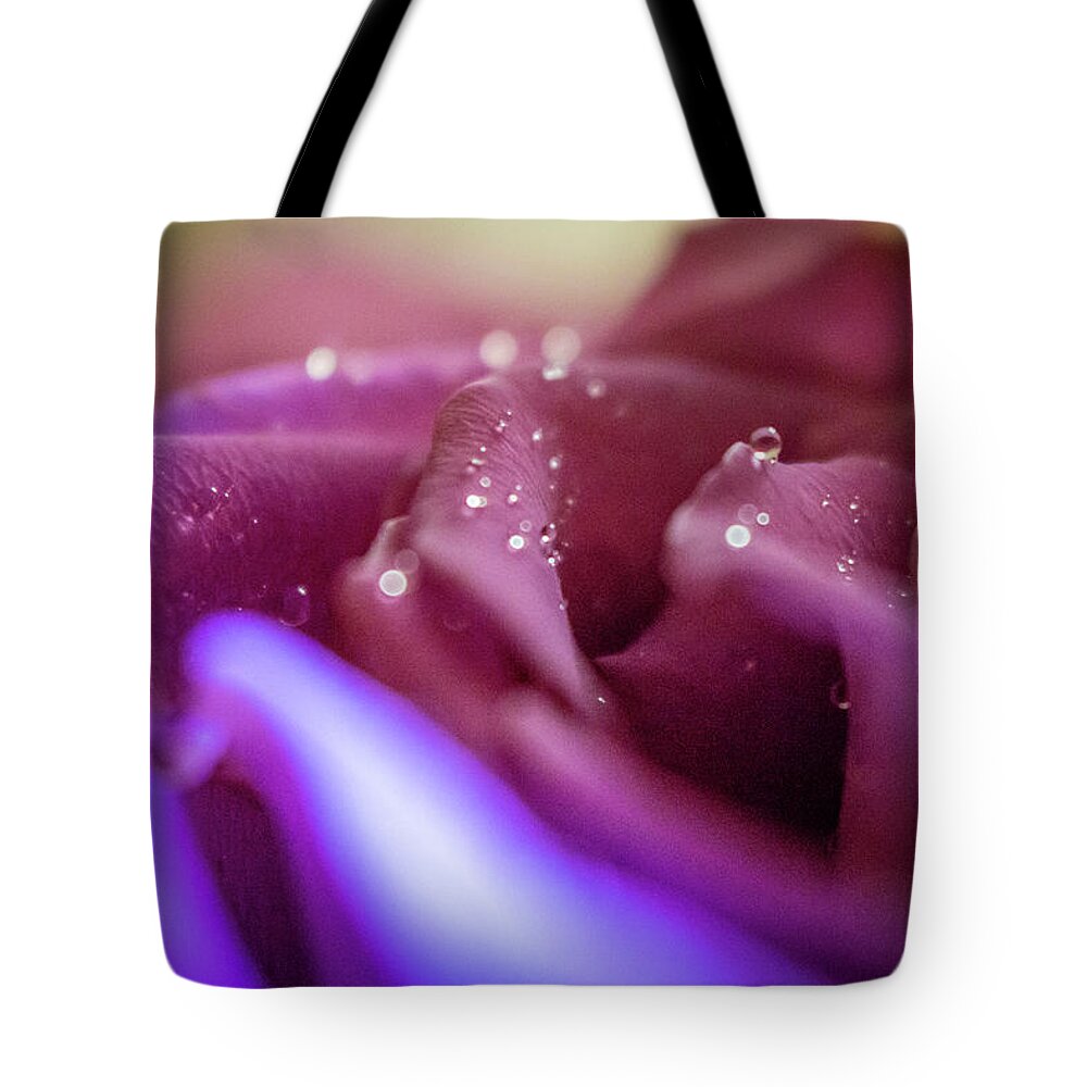 Beauty Tote Bag featuring the photograph Magenta Rose Macro by K Bradley Washburn