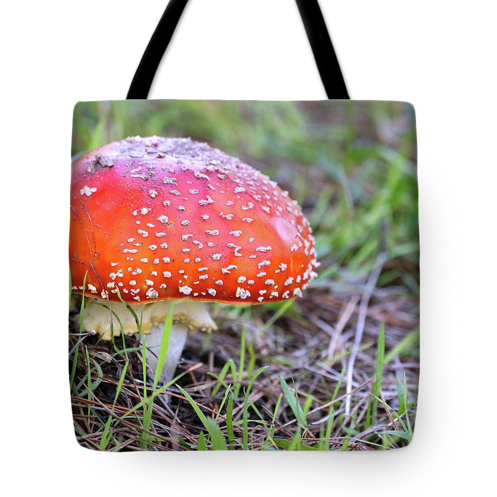Amanita Muscaria Tote Bag featuring the photograph Magic Mushroom by Vivian Krug Cotton