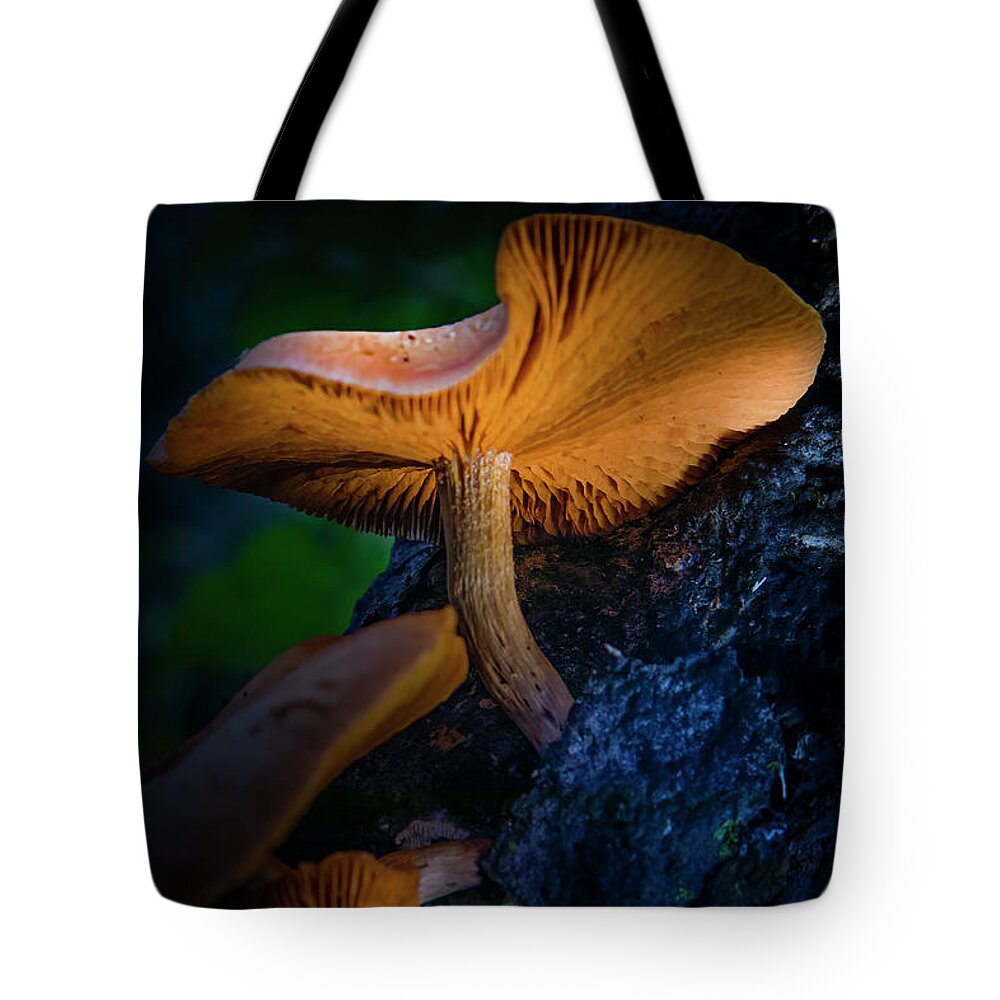 Mushrooms Tote Bag featuring the photograph Magic Mushrooms by Mark Andrew Thomas