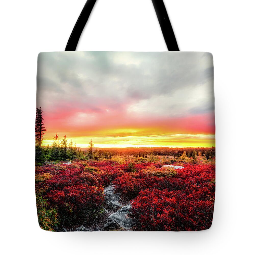 Landscape Tote Bag featuring the photograph Magic of Autumn by C Renee Martin
