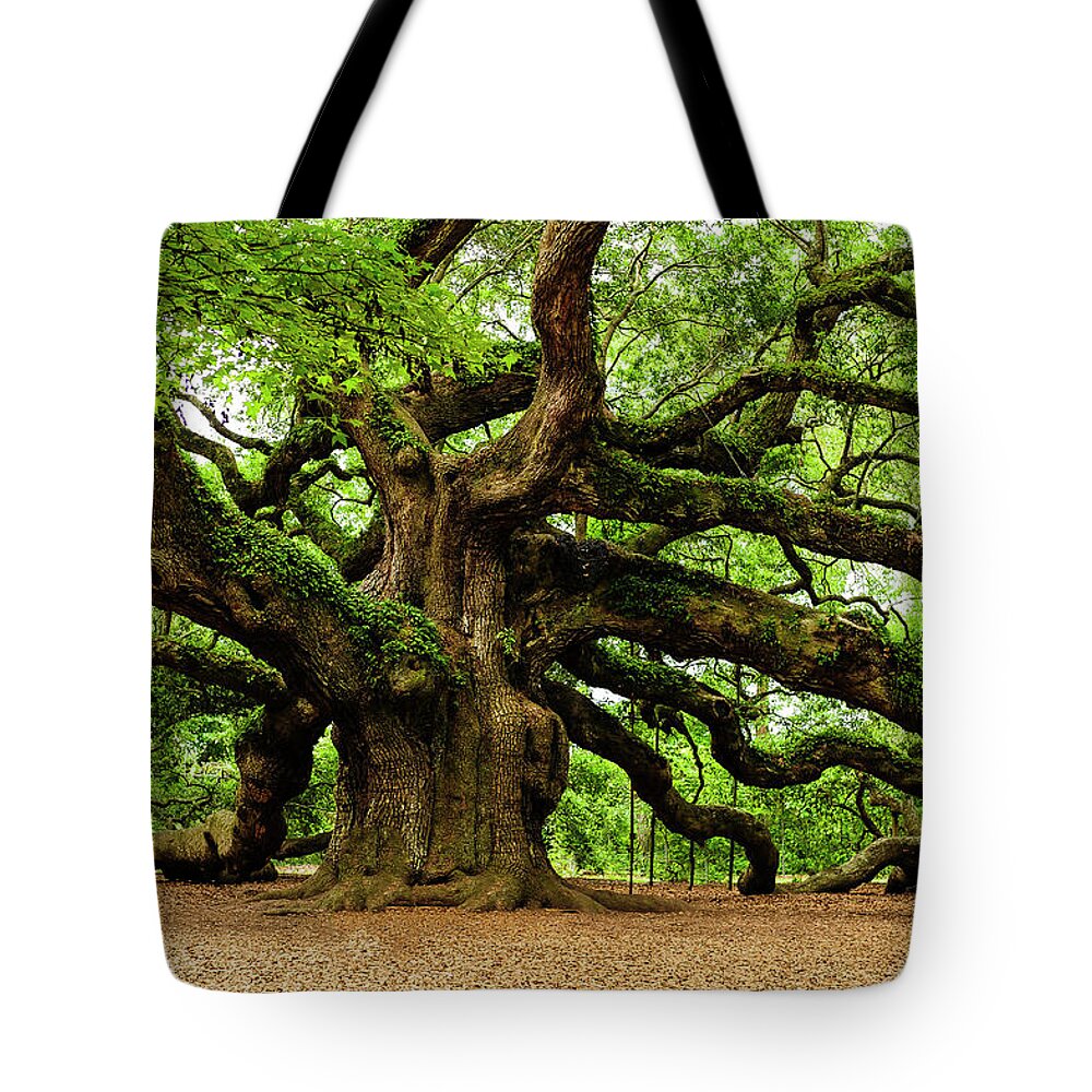 Charleston Tote Bag featuring the photograph Mystical Angle Oak Tree larger image by Louis Dallara