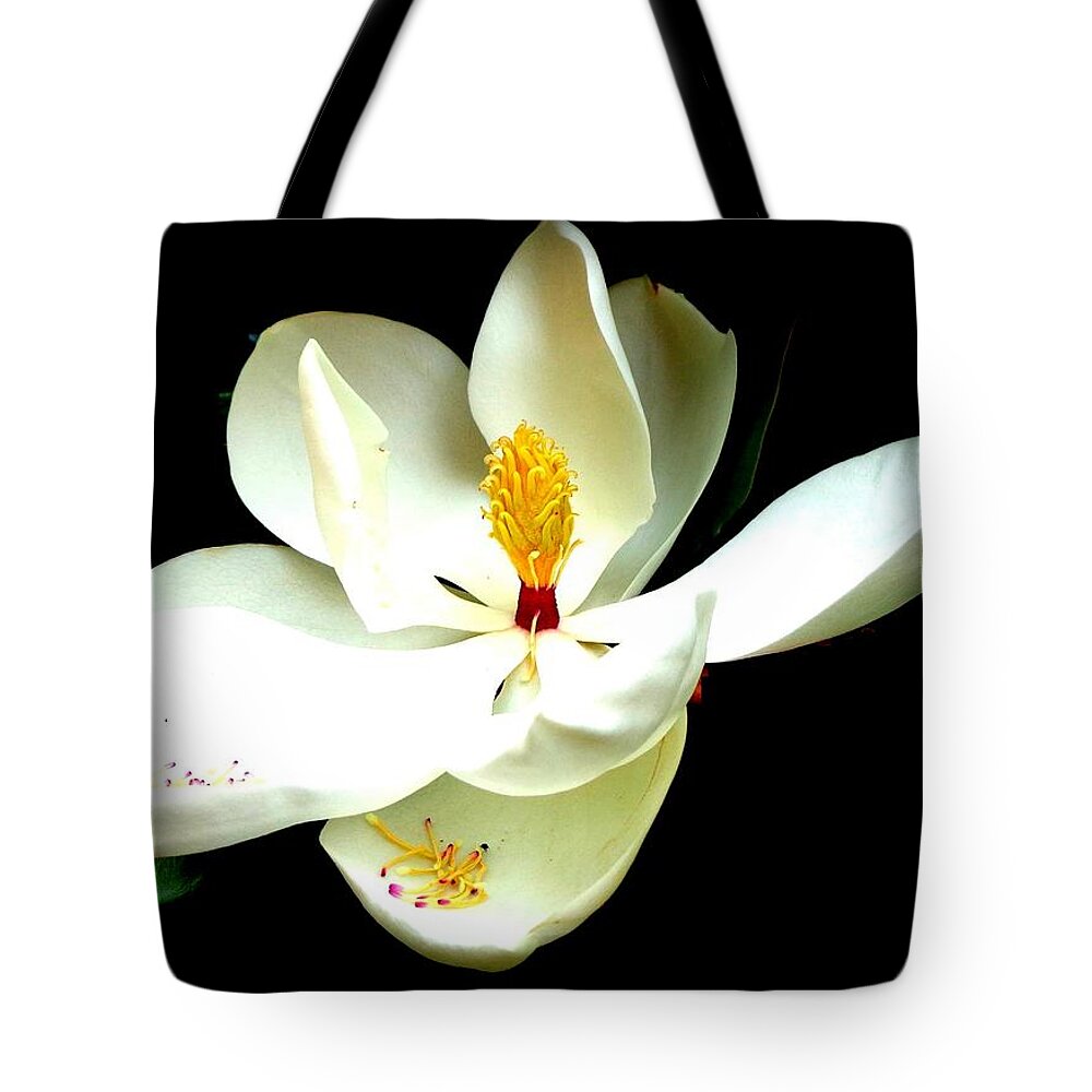 Magnolia Tote Bag featuring the photograph Magnificent Magnolia on Black by VIVA Anderson