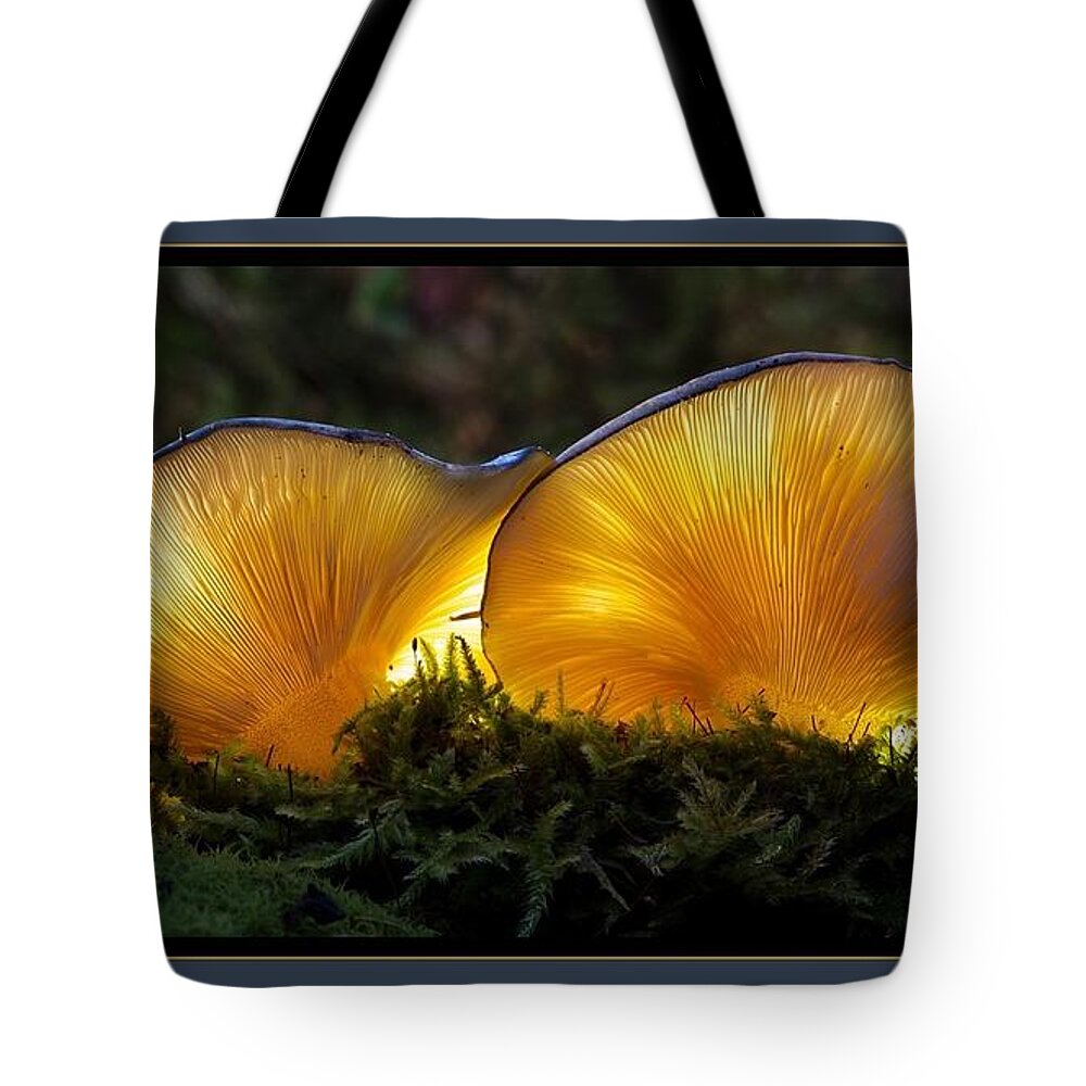 Mushrooms Tote Bag featuring the photograph Magnificent Mushrooms by Nancy Ayanna Wyatt