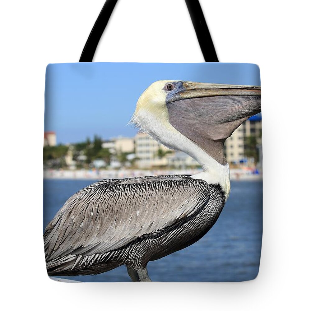 Pelicans Tote Bag featuring the photograph Magnificent Throat Pouch by Mingming Jiang