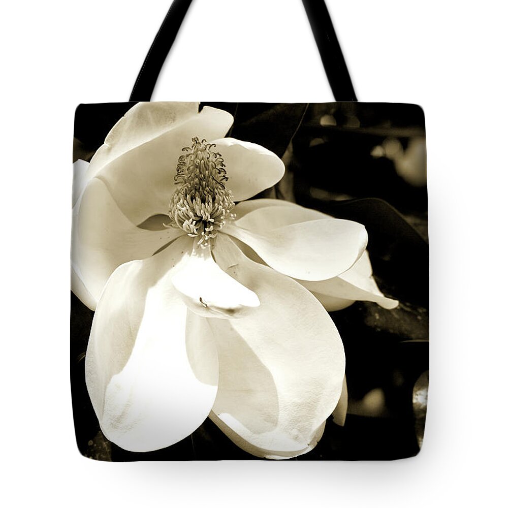 Savannah Tote Bag featuring the photograph Magnolia Bloom by Theresa Fairchild