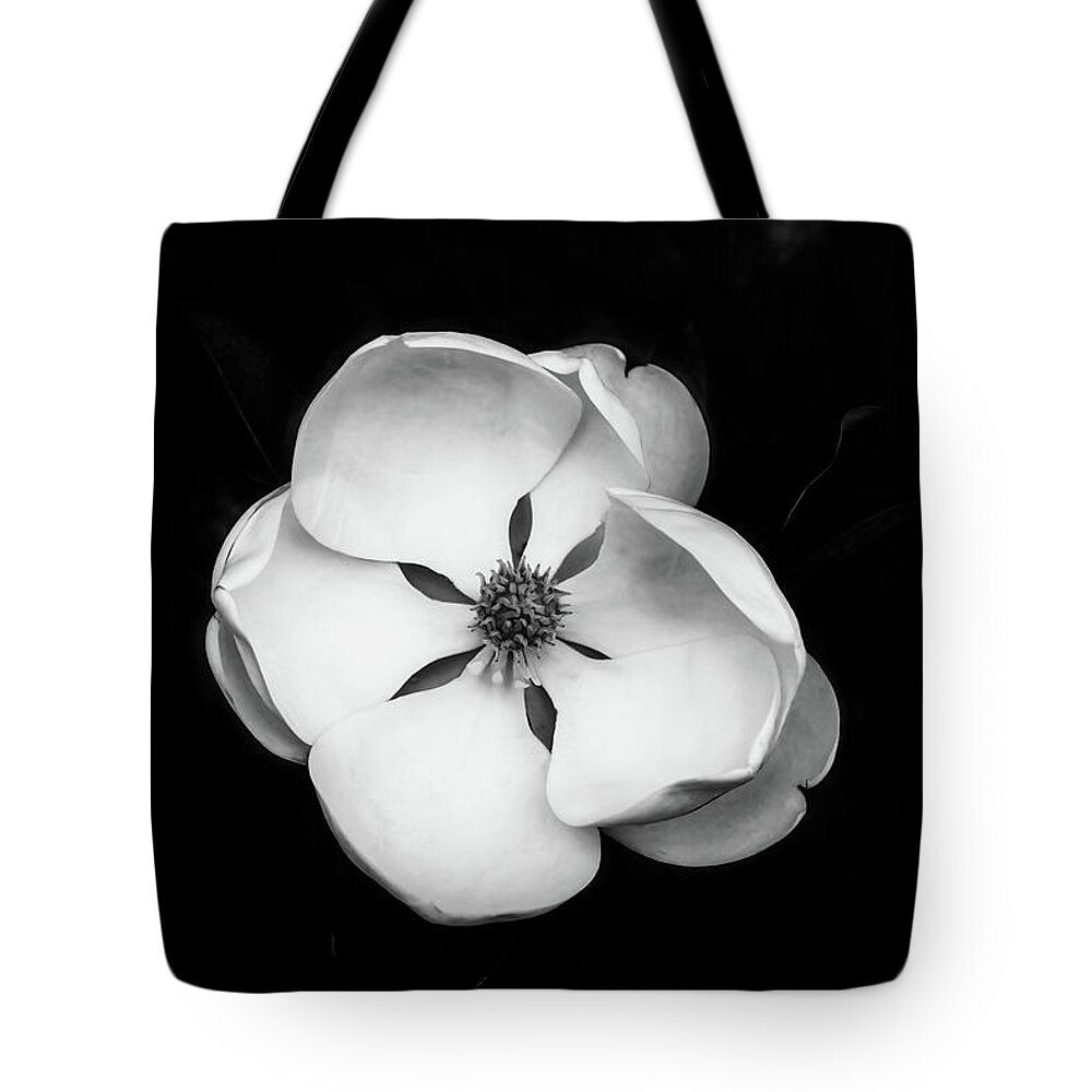 Magnolia Tote Bag featuring the photograph Magnolia Blossom 1 by Connie Carr