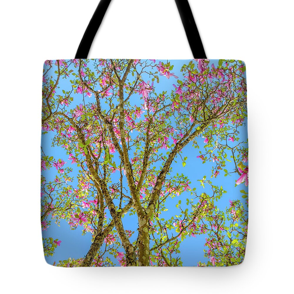 British Columbia Tote Bag featuring the photograph Magnolia blossom by Michael Wheatley