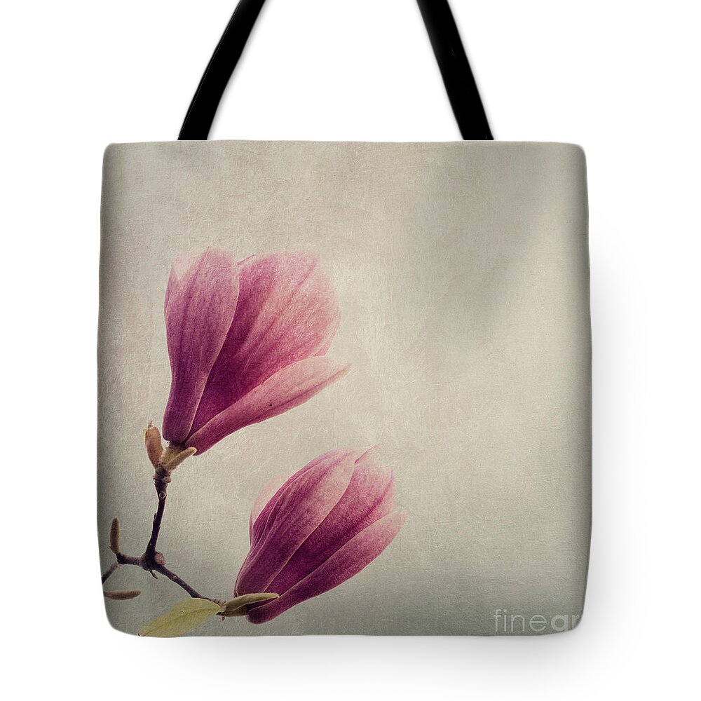 Magnolia Tote Bag featuring the photograph Magnolia flower on art texture by Jelena Jovanovic