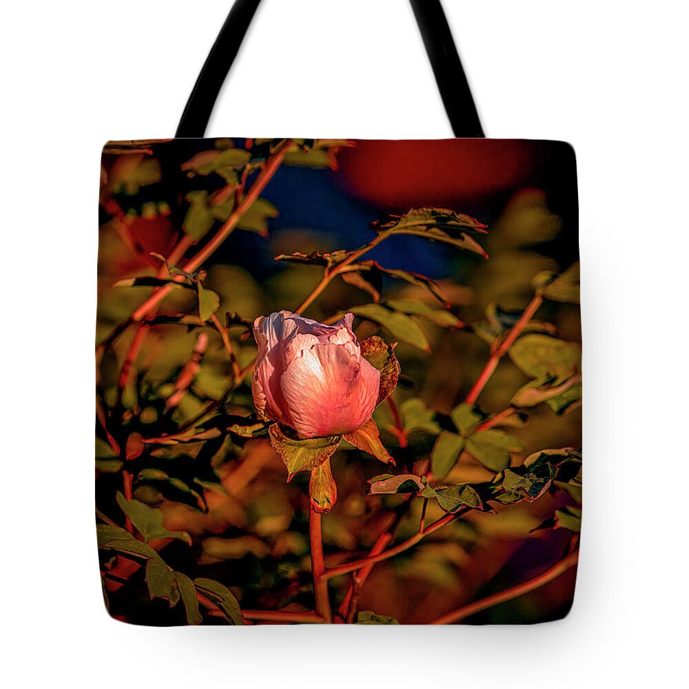 Magnolia Light Tote Bag featuring the photograph Magnolia light #j8 by Leif Sohlman