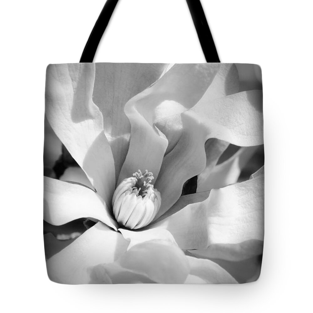 Black And White Tote Bag featuring the photograph Magnolia Magic Black and White by Carol Groenen