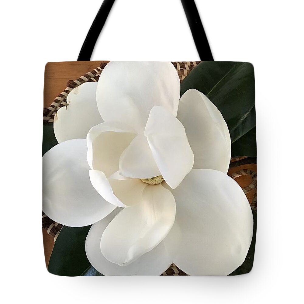 Magnolia Flower Tote Bag featuring the photograph Magnolia Tree Flower by Catherine Wilson
