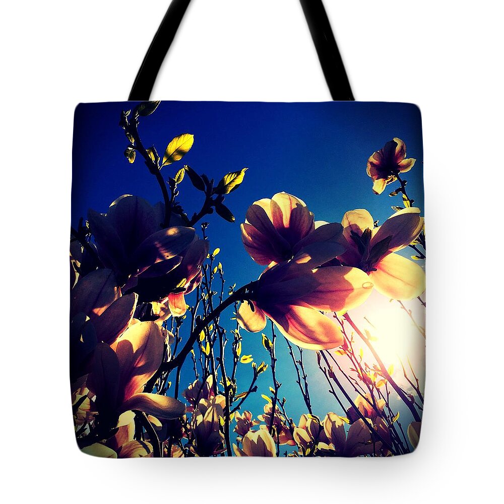 Magnolias Tote Bag featuring the photograph Magnolias by Tanja Leuenberger