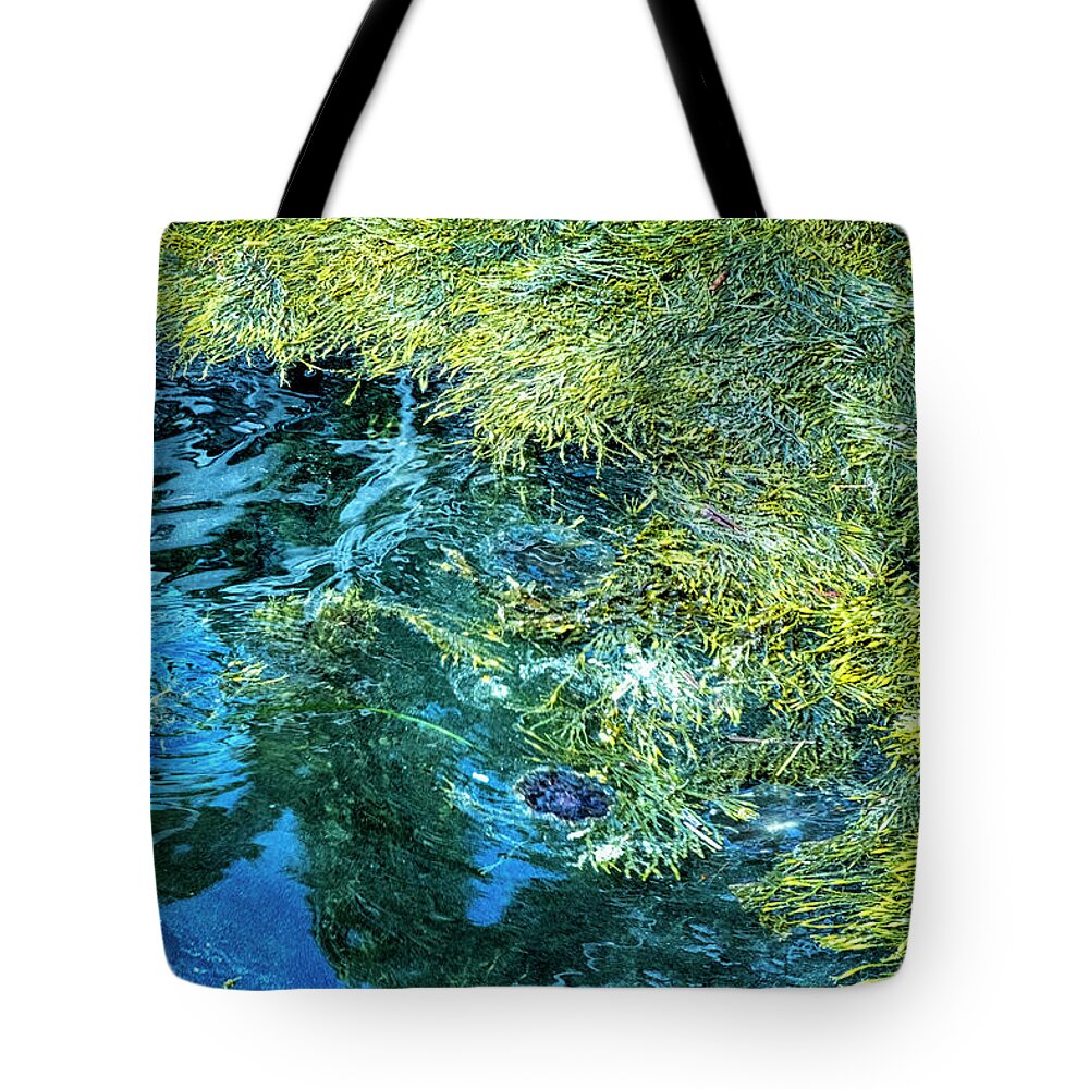South Freeport Harbor Maine Tote Bag featuring the photograph Maine Seaweed by Tom Singleton