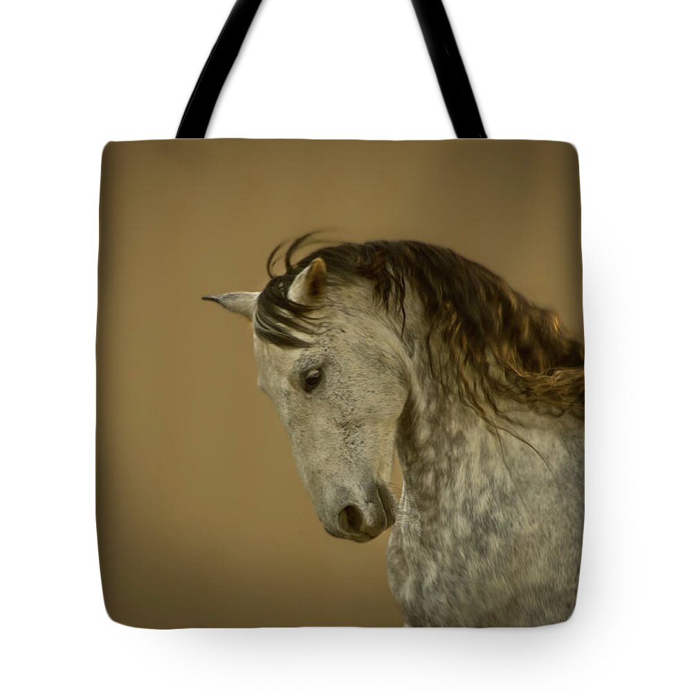Andalusia Tote Bag featuring the photograph Majestic by Catherine Sobredo