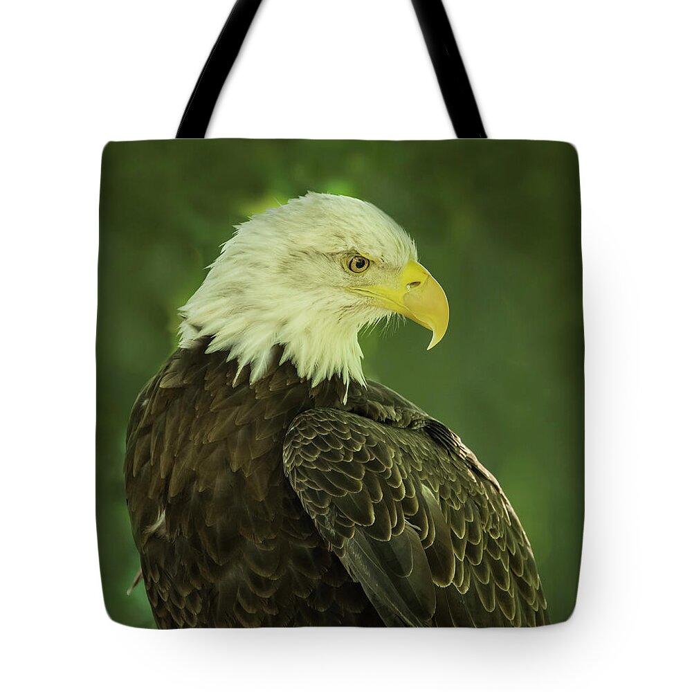 Bald Eagle Tote Bag featuring the photograph Majestic by Jamie Pattison