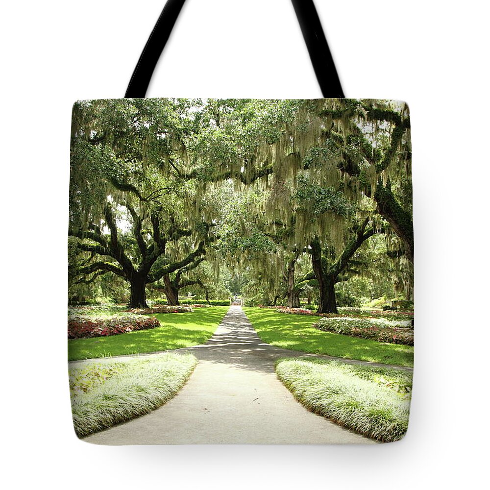Park Tote Bag featuring the photograph Majestic Oaks by Lens Art Photography By Larry Trager