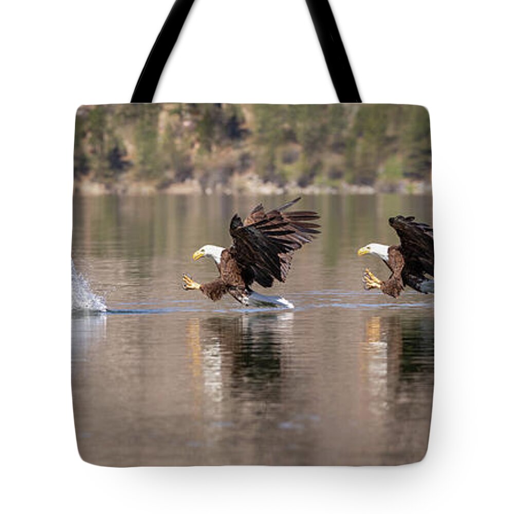 Eagle Tote Bag featuring the photograph Making the Grab by Randy Robbins