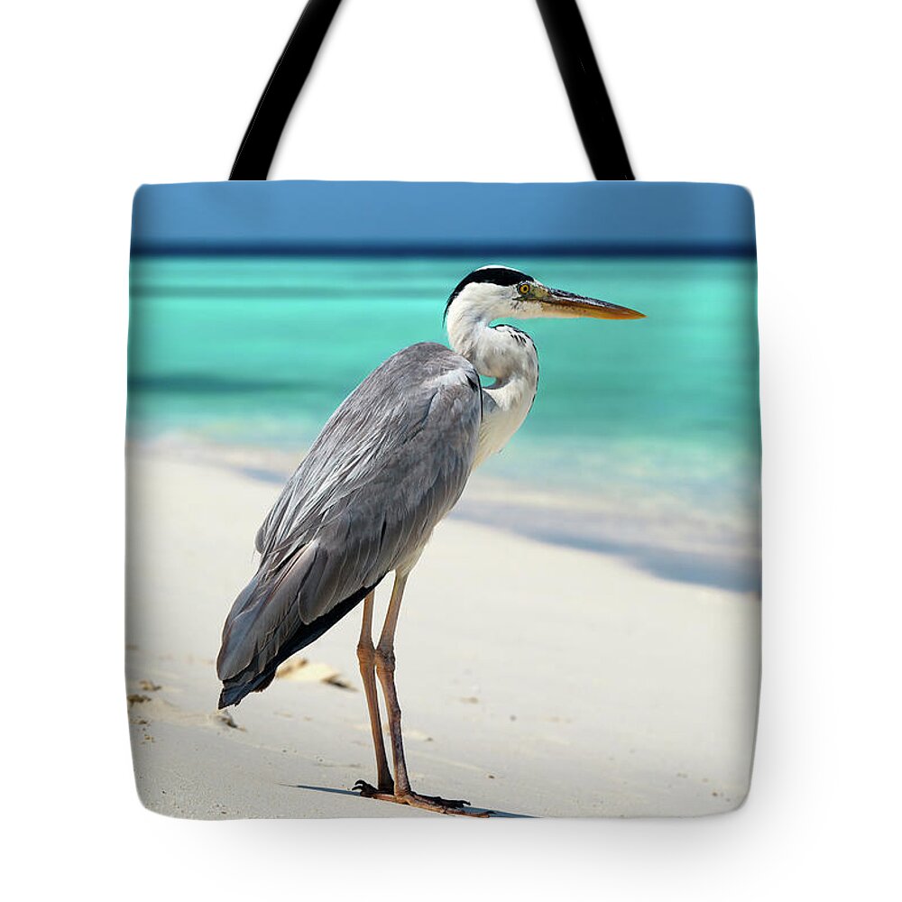 Grey Heron Tote Bag featuring the photograph Maldives - Grey Heron by Olivier Parent