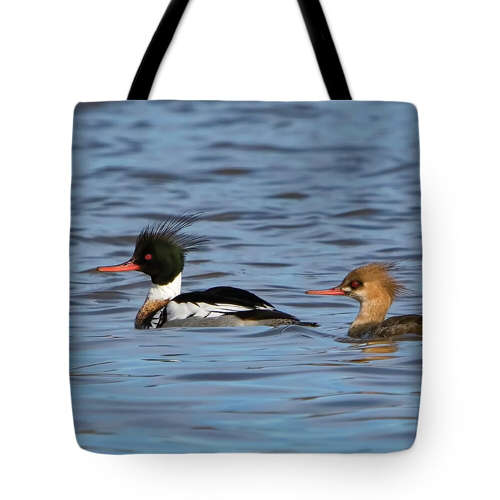 Bird Tote Bag featuring the photograph Male and Femaile Red-Breasted Mergansers by Ron Grafe
