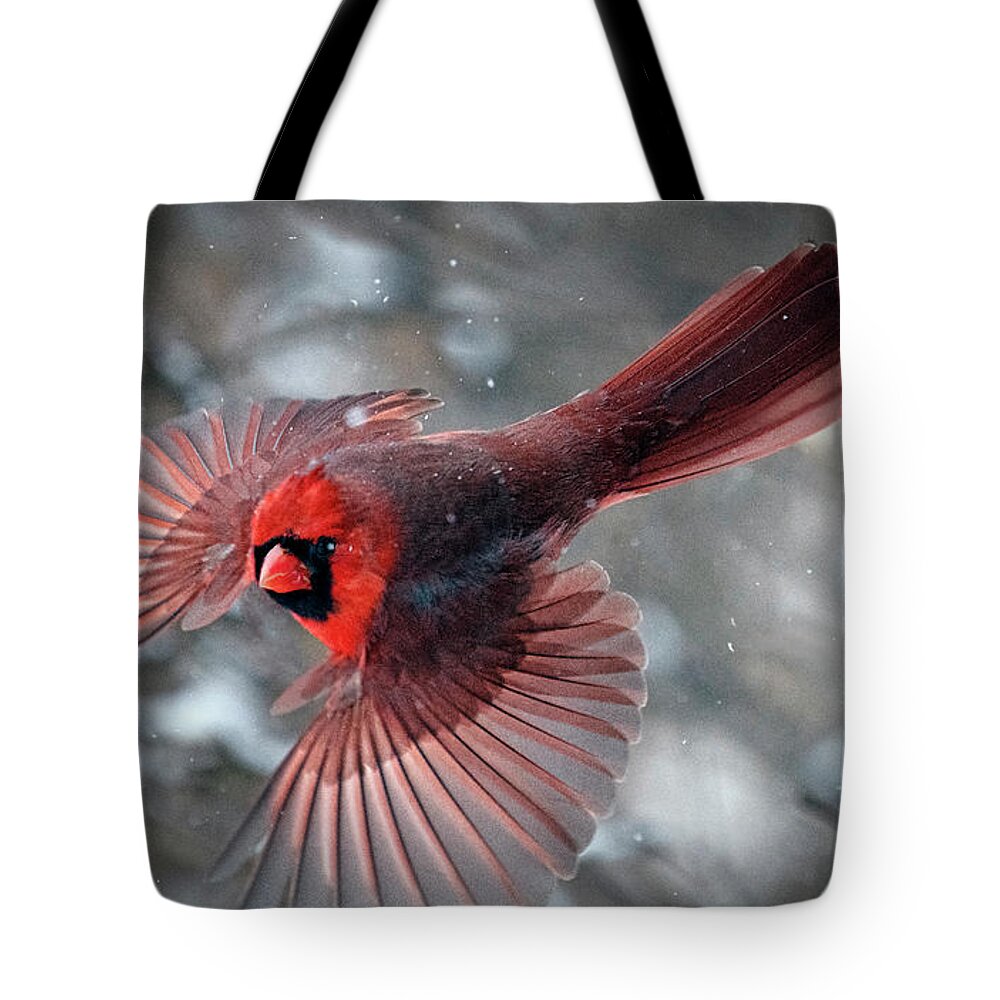 Northern Cardinal Tote Bag featuring the photograph Male Northern Cardinal in a Snow Storm by Sandra Rust