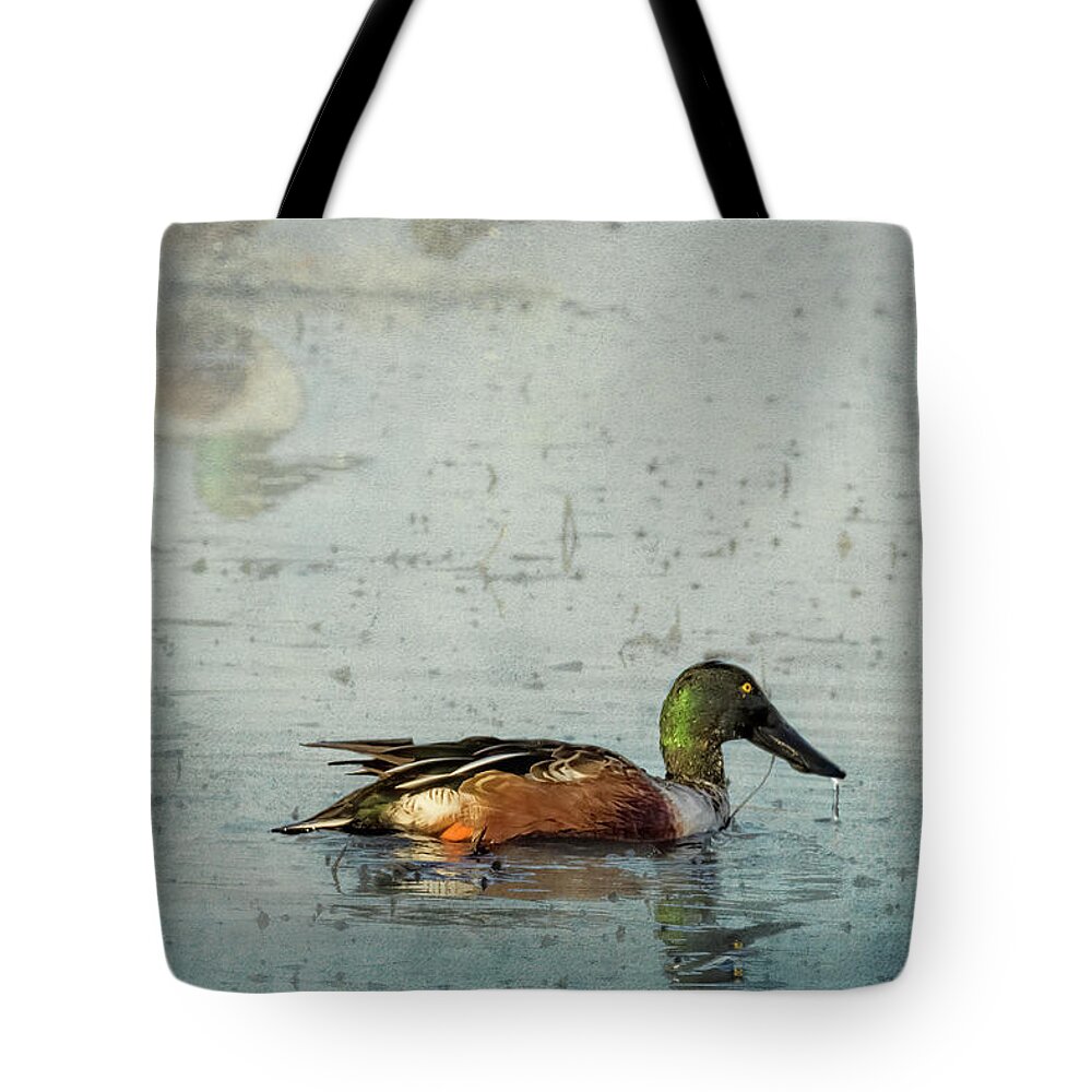 Northern Shoveler Tote Bag featuring the photograph Male Northern Shoveler and Company by Belinda Greb