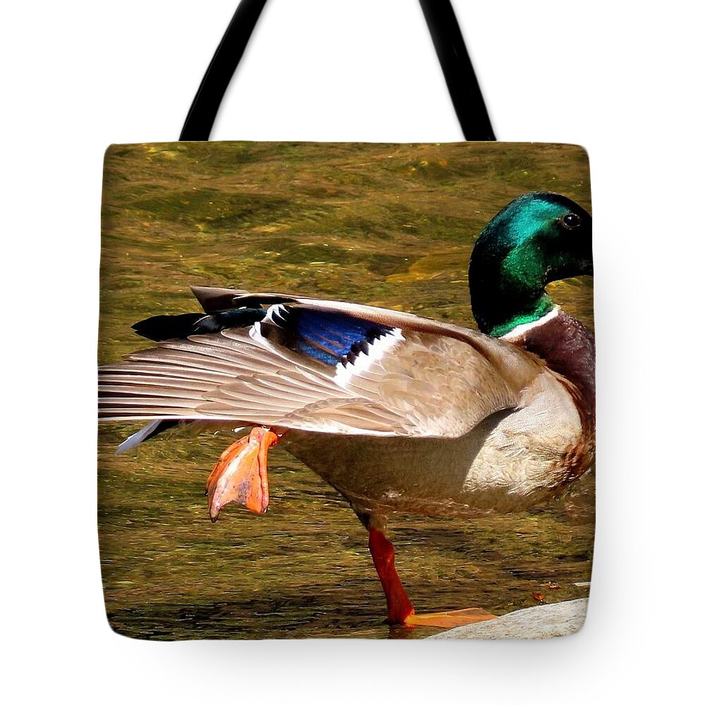 Ducks Tote Bag featuring the photograph Mallard Doing the Big Stretch by Linda Stern
