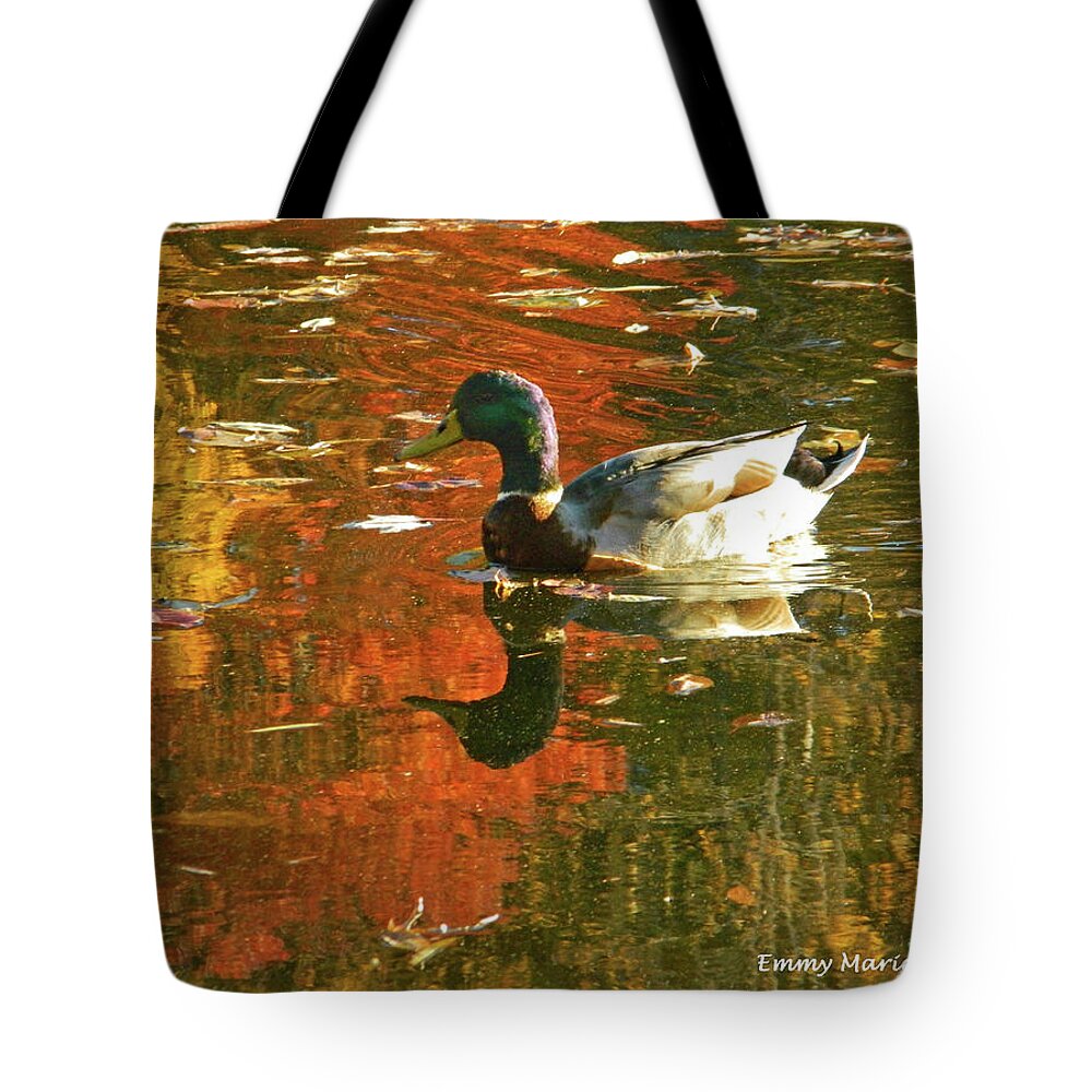 Autumn Tote Bag featuring the photograph Mallard Duck In the Fall by Emmy Marie Vickers
