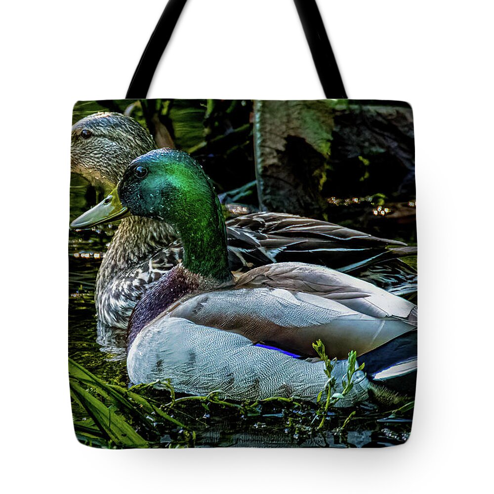Animals Tote Bag featuring the photograph Mallard pair by Brian Shoemaker