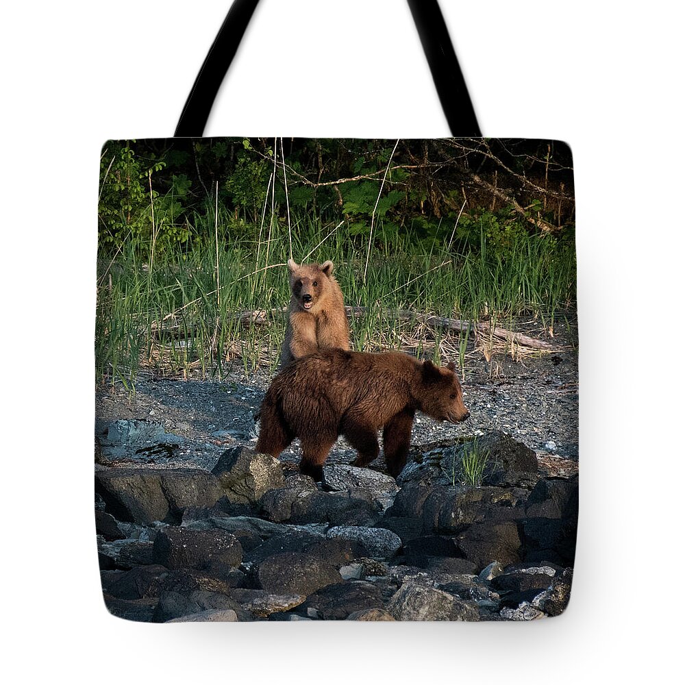 Brown Bears Tote Bag featuring the photograph Mama and Cub by David Kirby