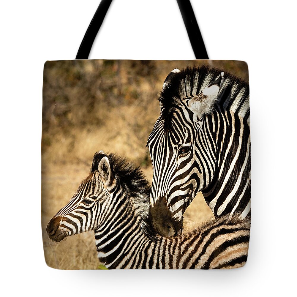 Zebra Tote Bag featuring the photograph Mama And Her Baby by Elvira Peretsman