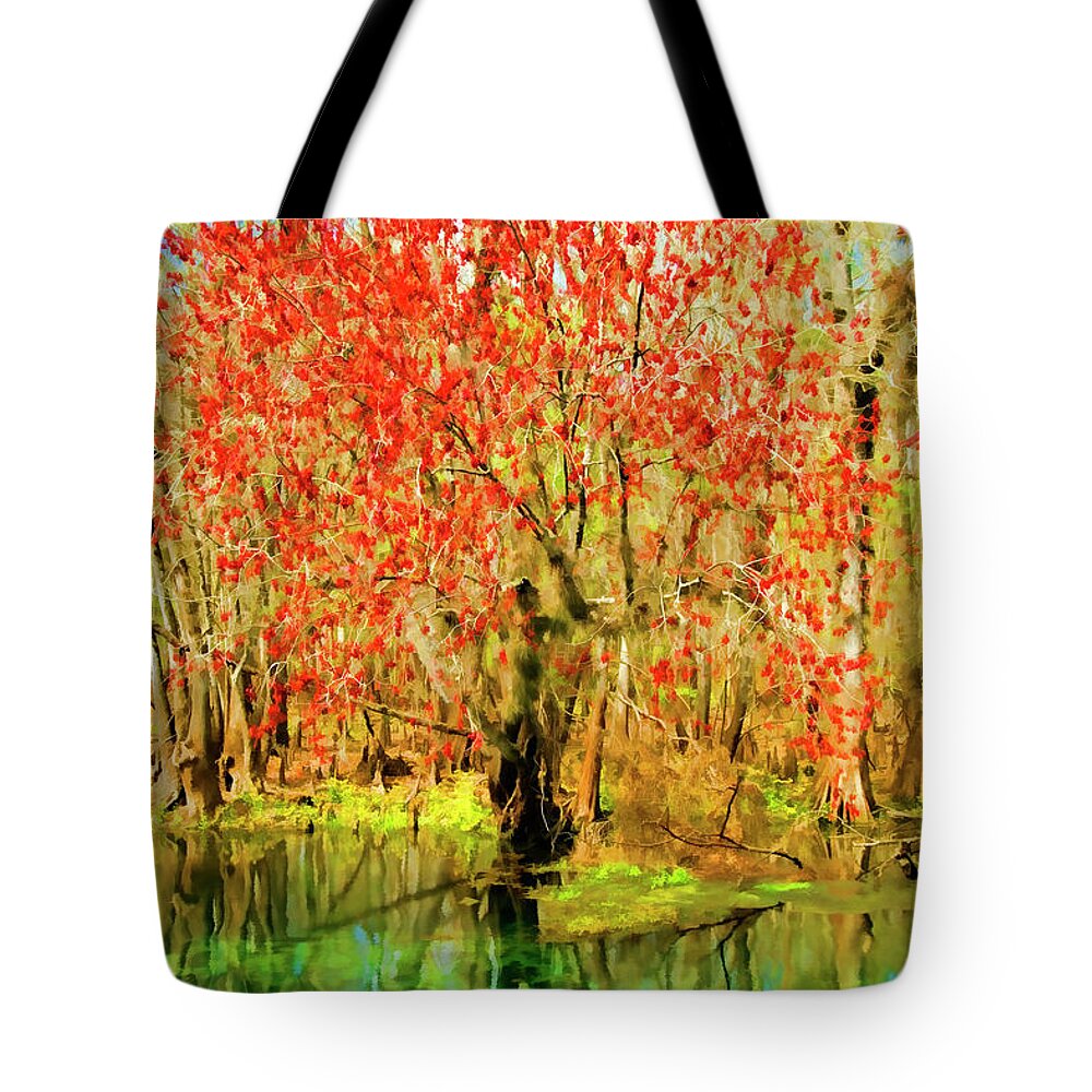 Photography Tote Bag featuring the photograph Manatee Springs by John Douglas