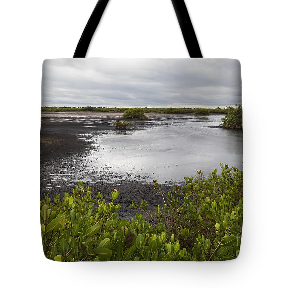 Mangrove Swamp Tote Bag featuring the photograph Mangroves on Black Point Wildlife Drive by L Bosco
