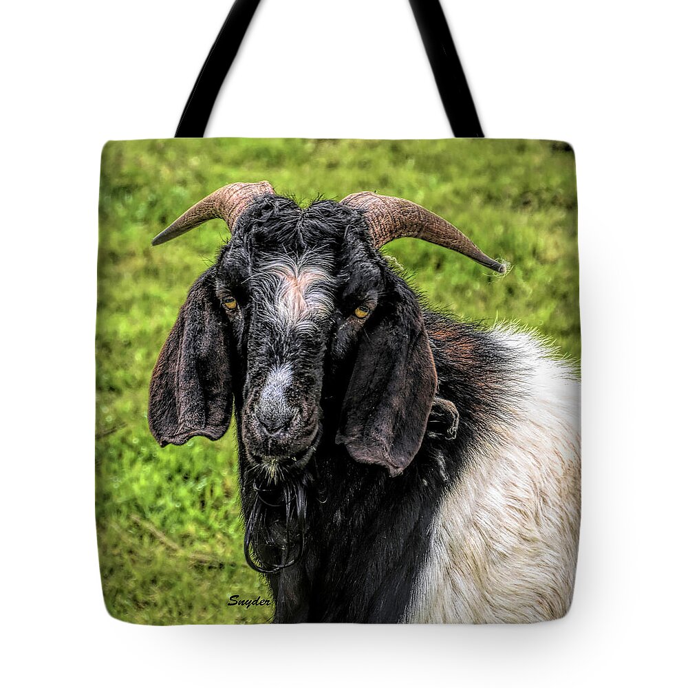 Animals.goat Tote Bag featuring the photograph Mangy Old Goat by Barbara Snyder