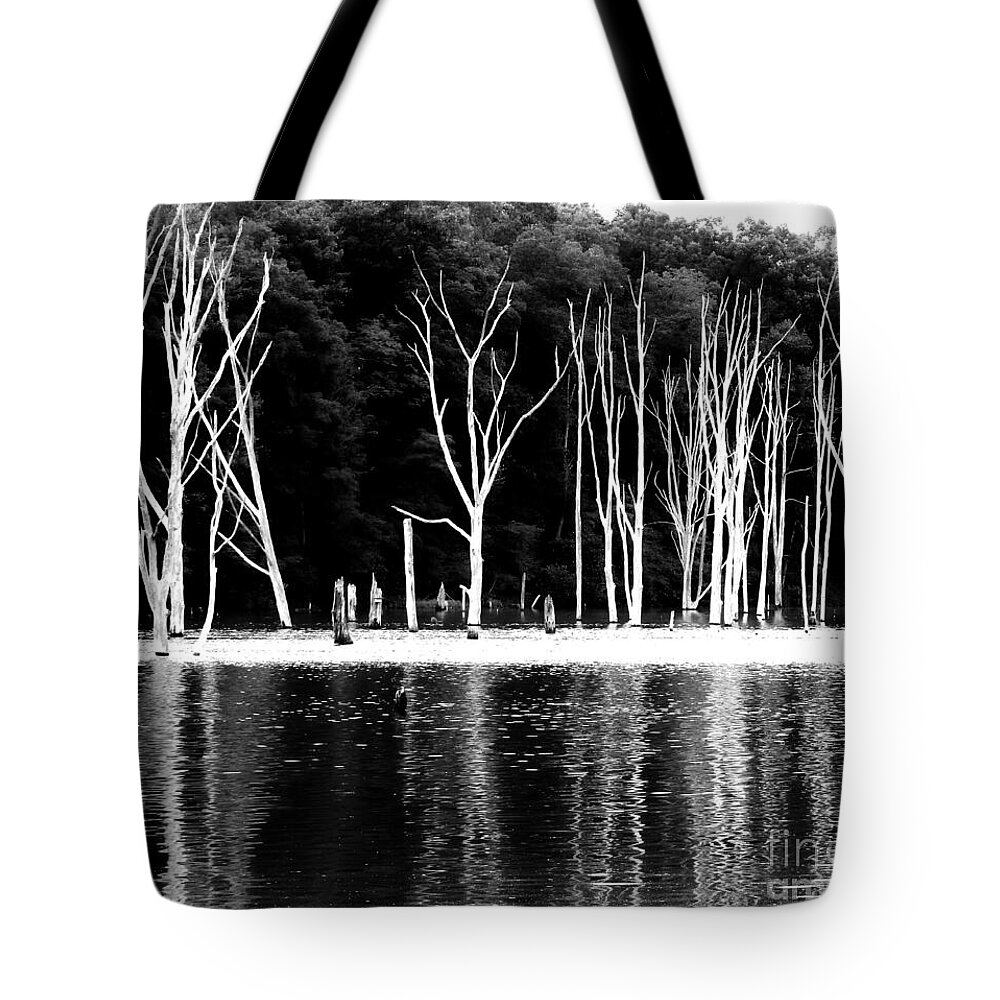 Changing Environment Tote Bag featuring the photograph Man's Interference by Marcia Lee Jones