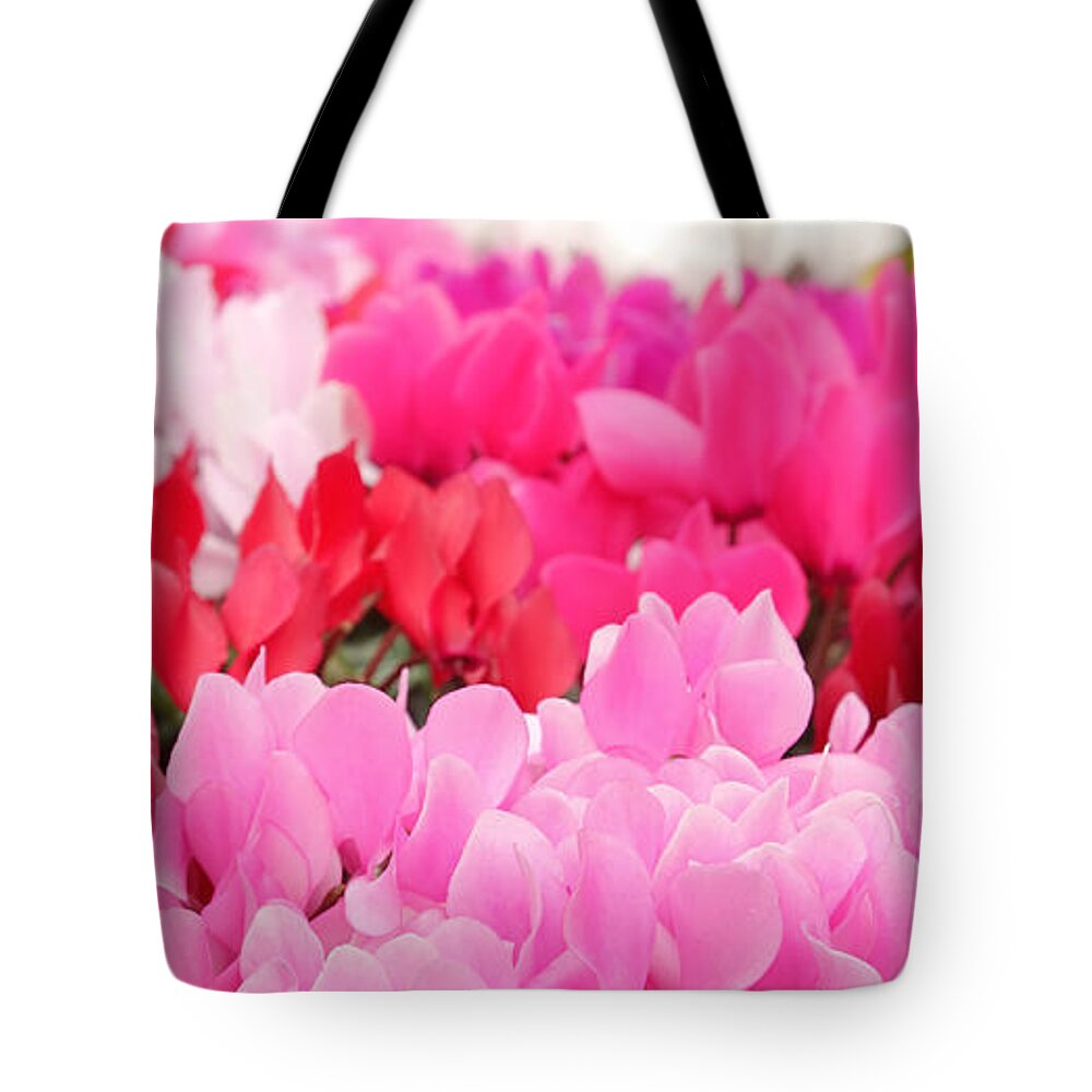 Cyclamen Tote Bag featuring the photograph Many Cyclamen by Maria Meester