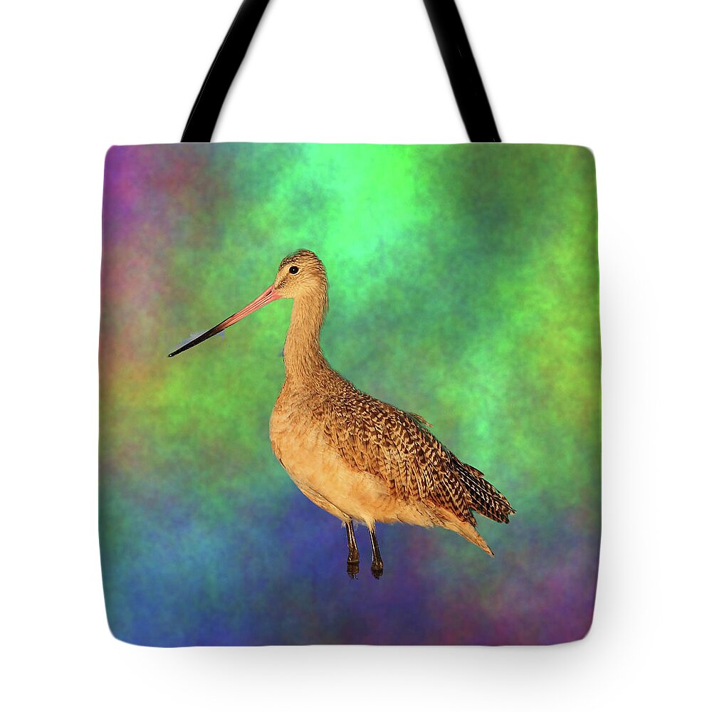 Marbled Godwit Tote Bag featuring the photograph Marbled Godwit by Mingming Jiang