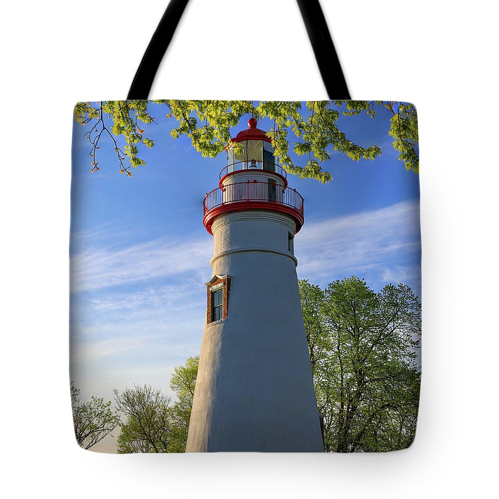 Marblehead Lighthouse Spring Leaves Tote Bag featuring the photograph Marblehead Lighthouse Spring Leaves by Dan Sproul