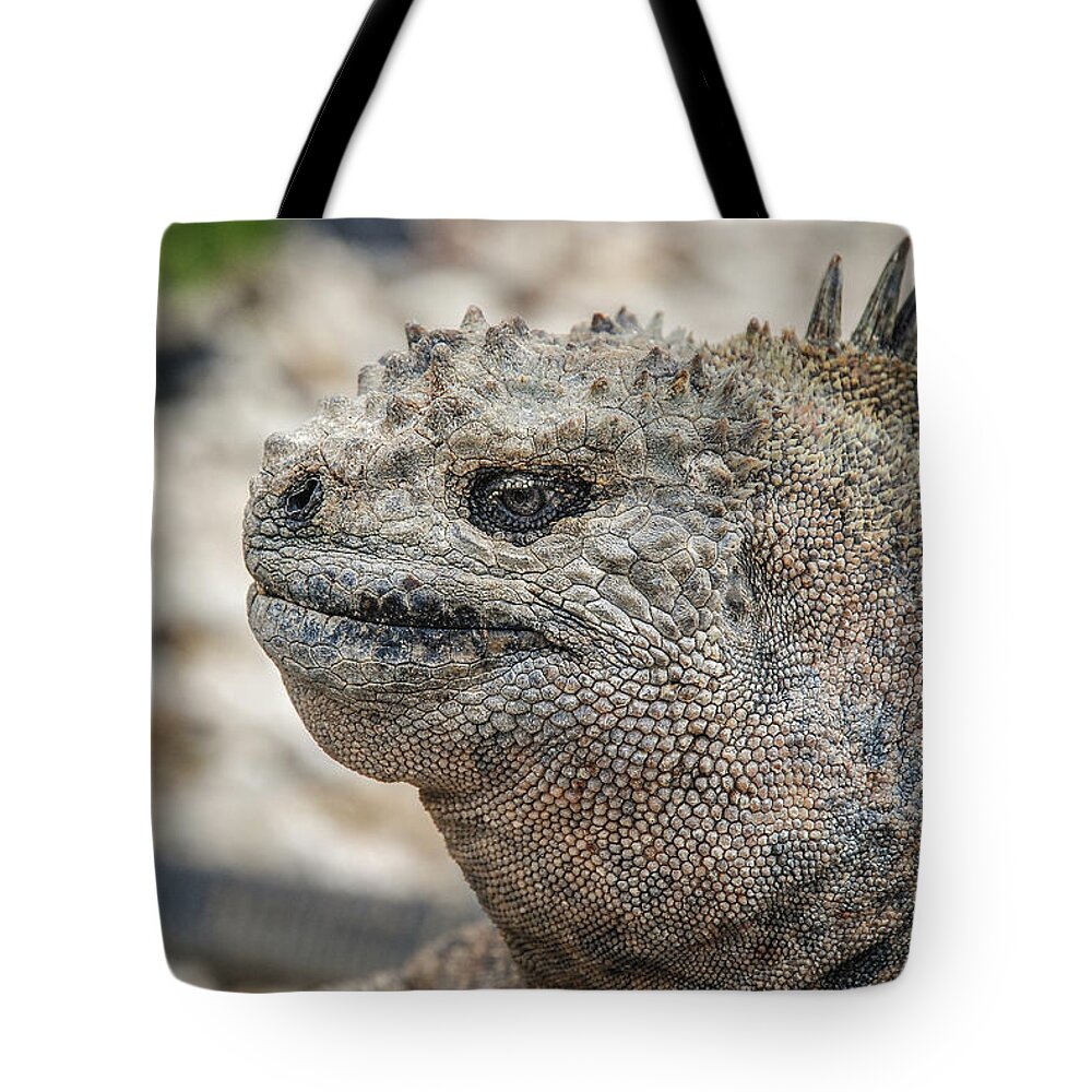 Ecuador Tote Bag featuring the photograph Marine Iguana close-up by Henri Leduc