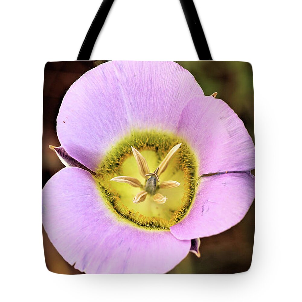 Flower Tote Bag featuring the photograph Mariposa Lily by Bob Falcone