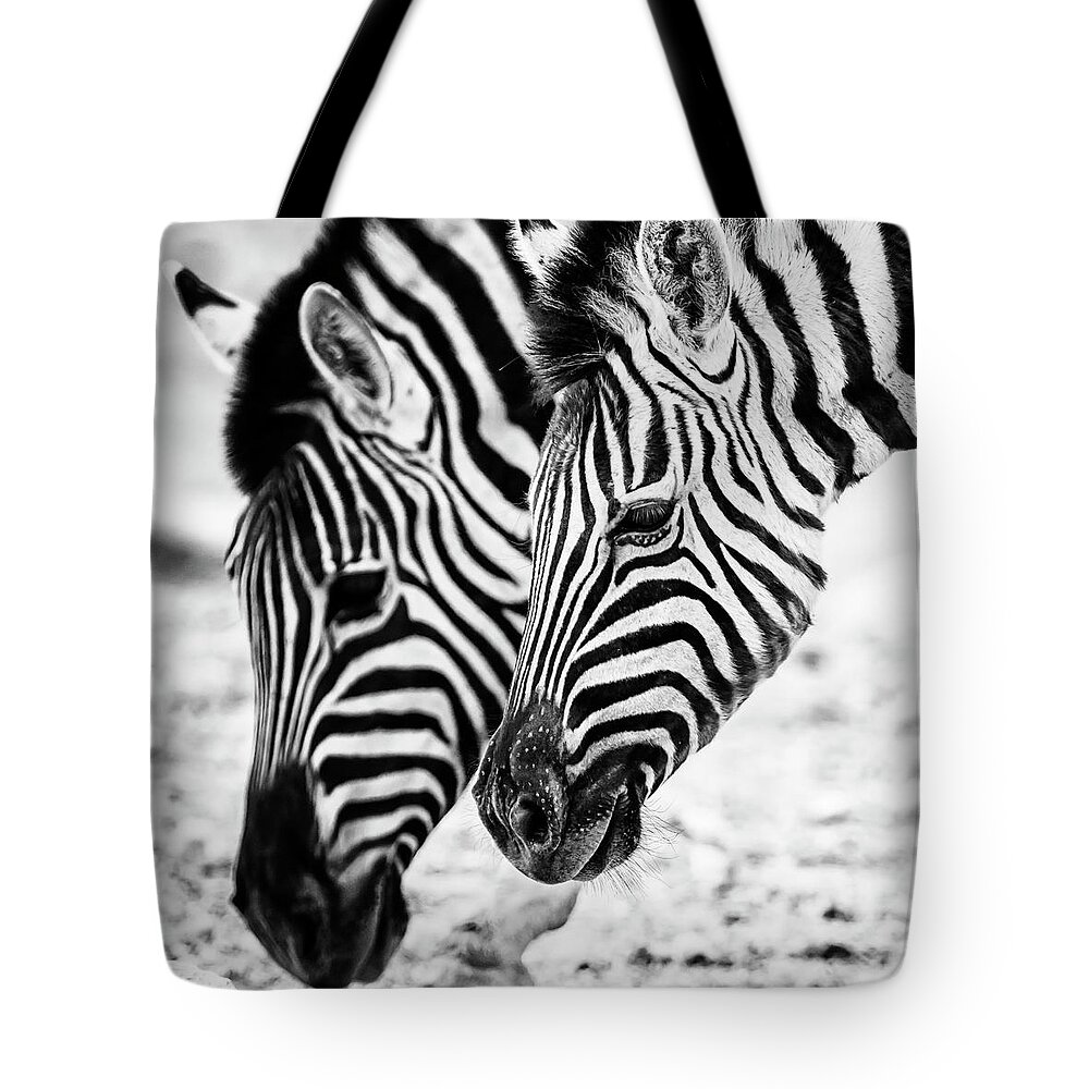 Plains Zebra Tote Bag featuring the photograph Markings on a Zebra's Face by Belinda Greb