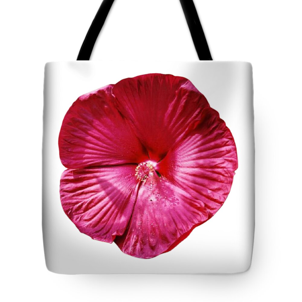 Flower Tote Bag featuring the photograph Maroon Hardy Hibiscus by Nancy Ayanna Wyatt