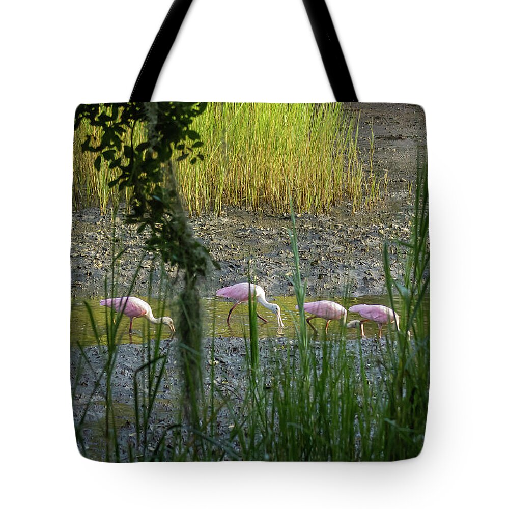 Roseate Spoonbill Tote Bag featuring the photograph Marsh Highway by Patricia Schaefer