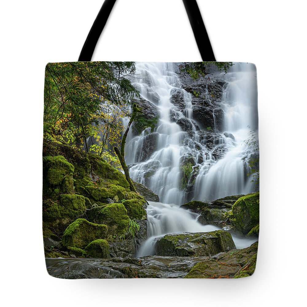 Waterfalls Tote Bag featuring the photograph Mary Vine Falls by Bill Cubitt