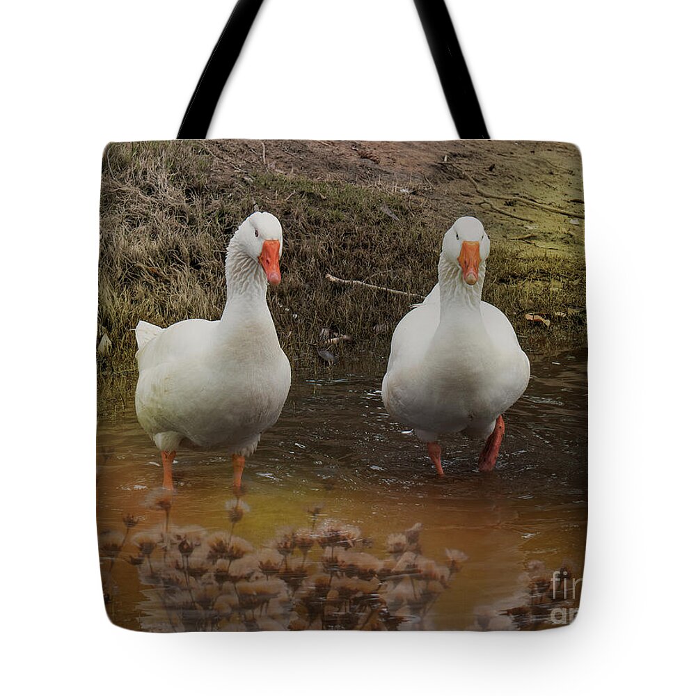 Ducks Tote Bag featuring the photograph Mates by Elaine Teague