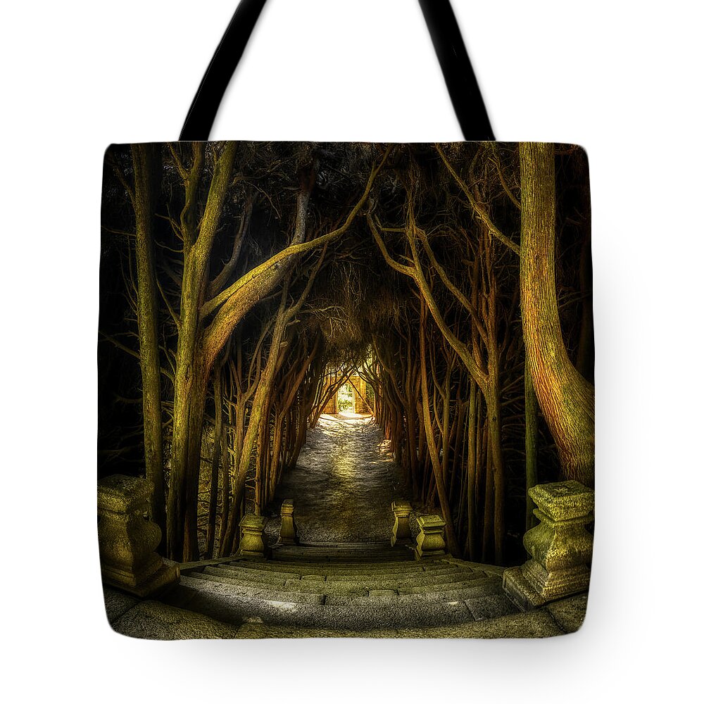 Portugal Tote Bag featuring the photograph Mateus - Cypress tunnel from the top by Micah Offman