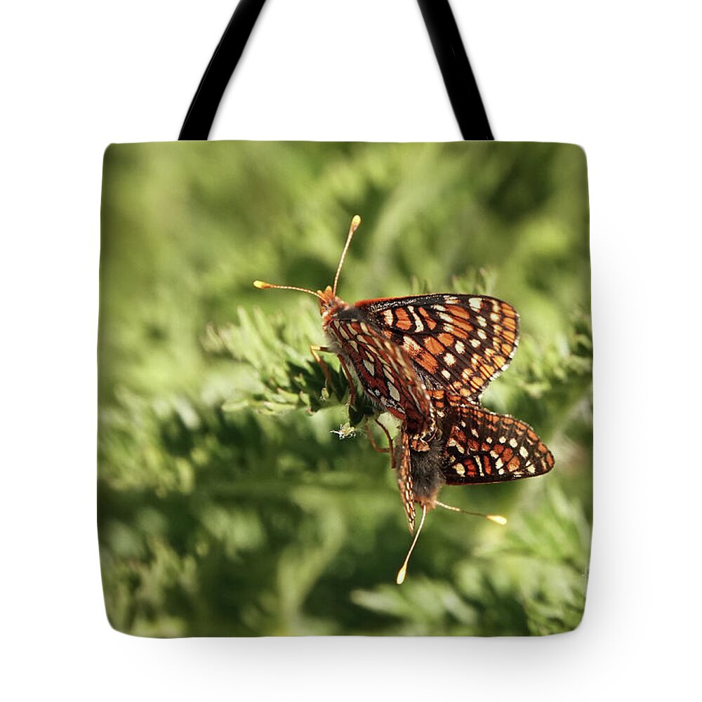 Edith's Checkerspot Tote Bag featuring the photograph Mating Pair of Edith's Checkerspot Butterflies by Nancy Gleason