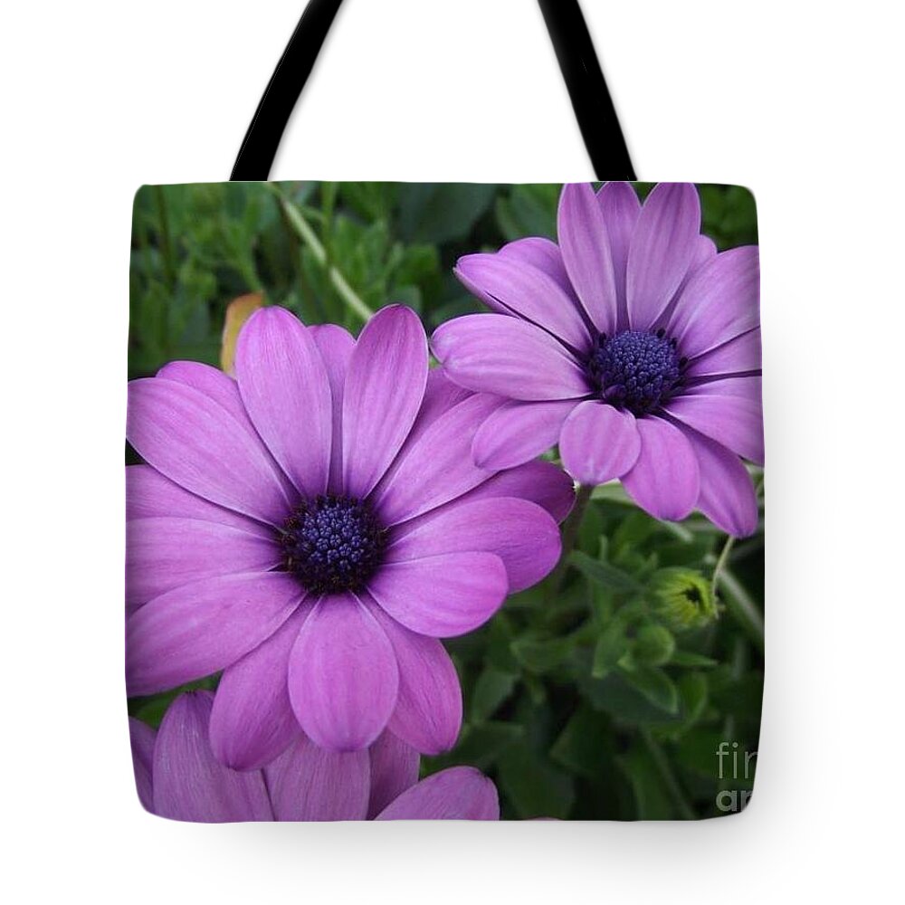Flowers Tote Bag featuring the photograph Mauve Muses by Kimberly Furey