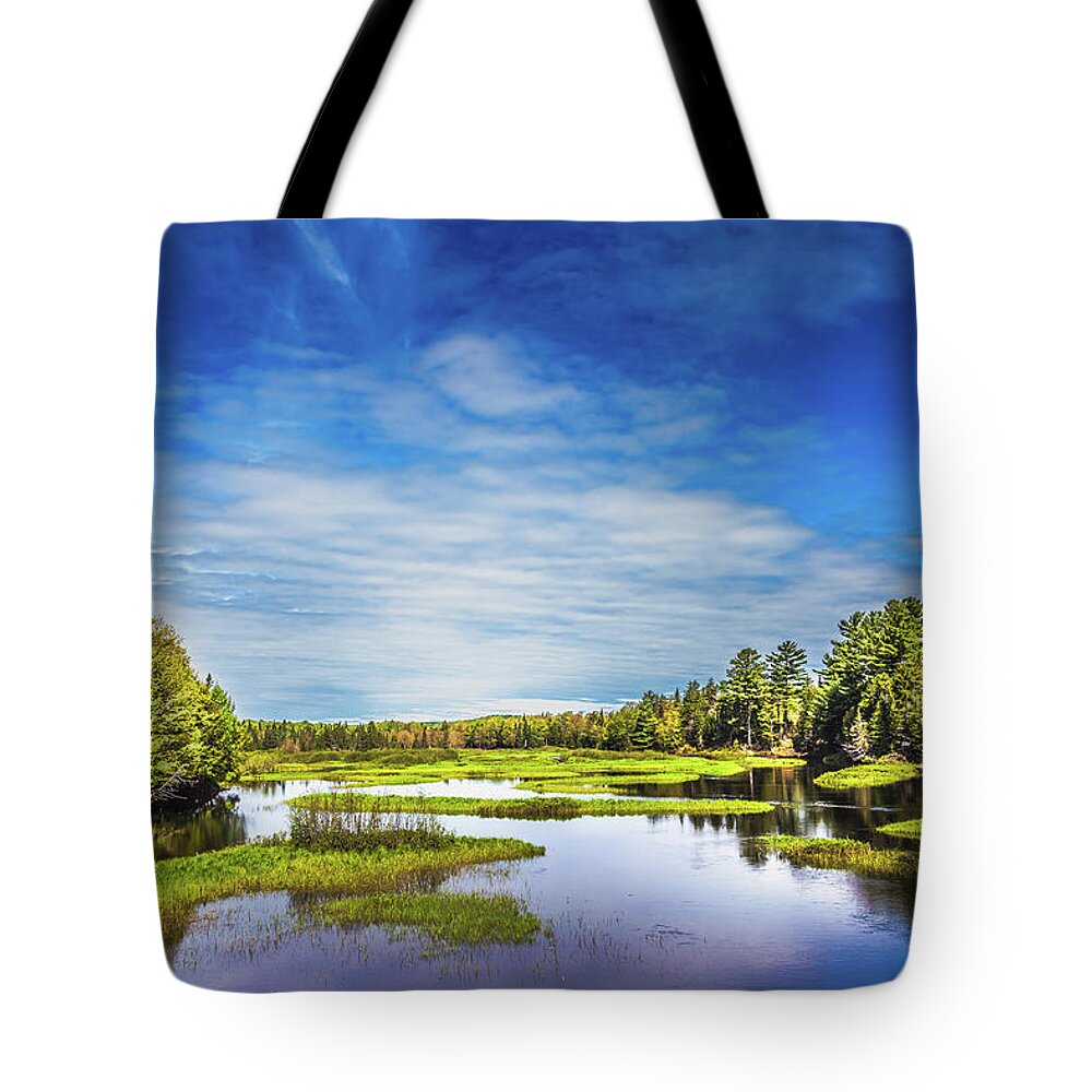 May In The Adirondacks Tote Bag featuring the photograph May in the Adirondacks by David Patterson